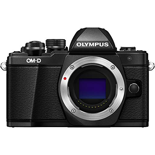 OM SYSTEM OLYMPUS OM-D E-M10 Mark II Mirrorless Camera (Black) - Body only