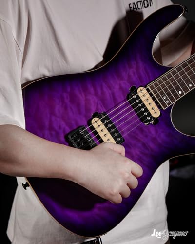 Leo Jaymz Electric Guitar Monsoon Series,Reverse Headstock,Mahogany Body,Roasted Maple Neck,Rosewood Fretboard,Locking Tuners,Rounded End Frets,AlnicoV Pickups,Fixed Bridge (Blue Flame)