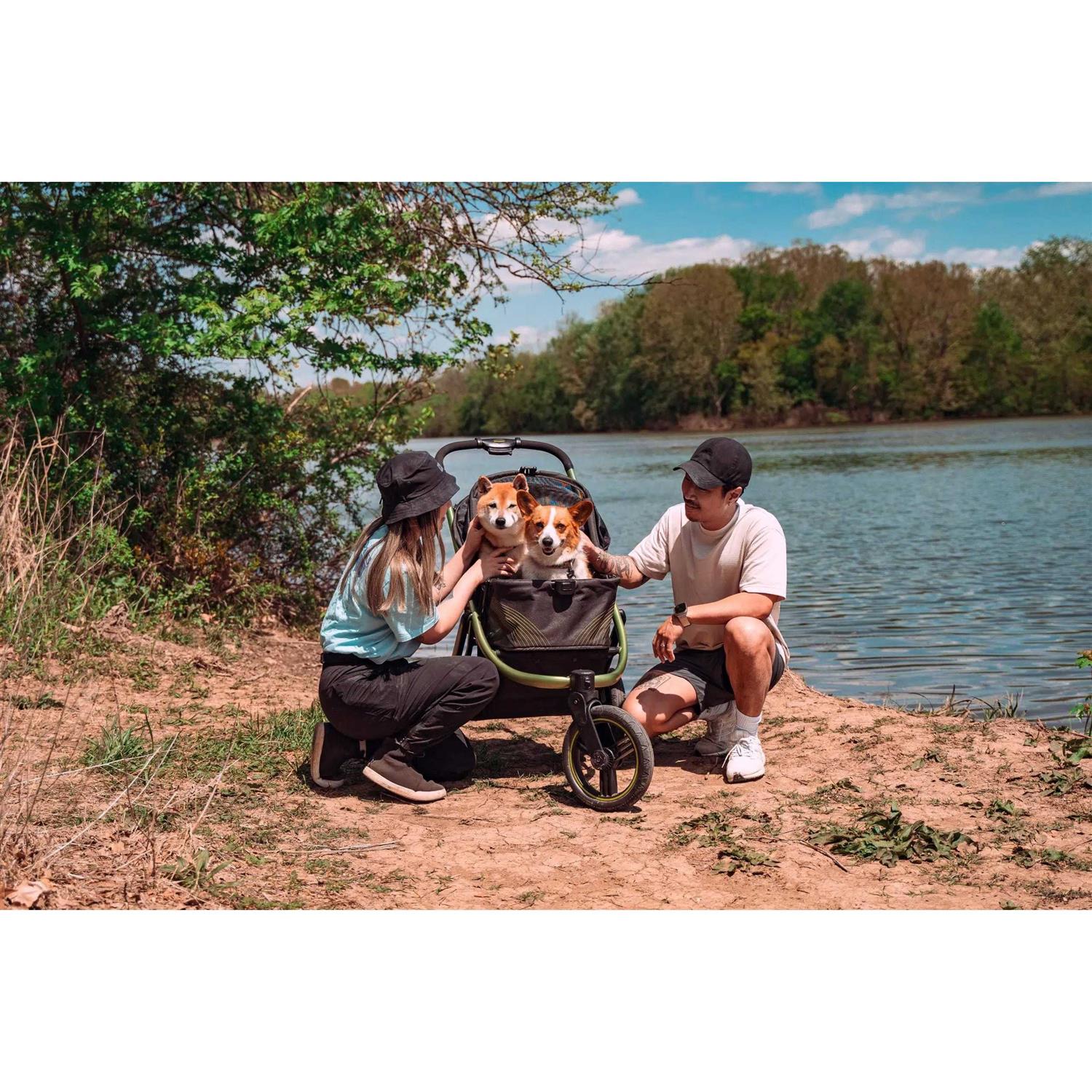 The Beast All Terrain Pet Jogging Stroller Ibiyaya - Pet Supplies online store