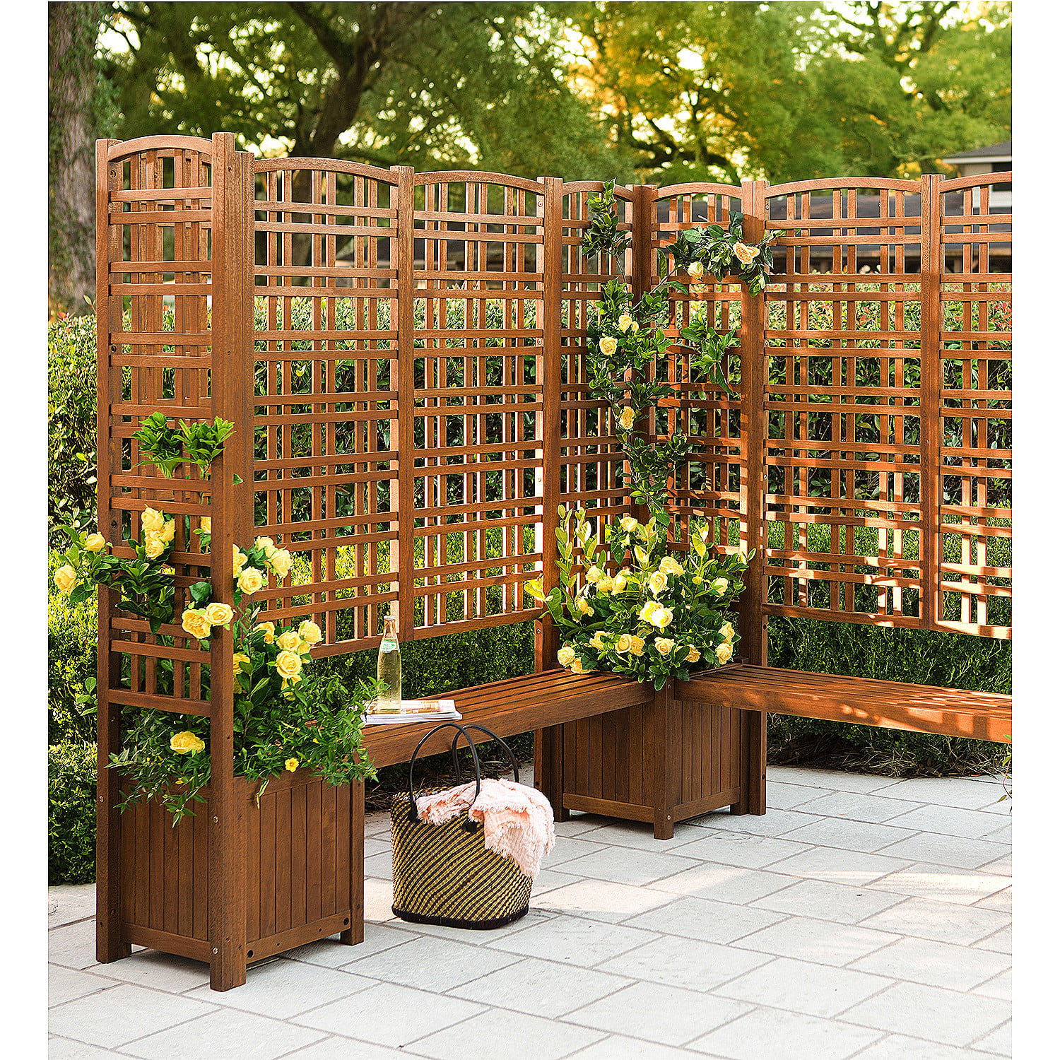 Evergreen Large Outdoor Eucalyptus Privacy Trellis
