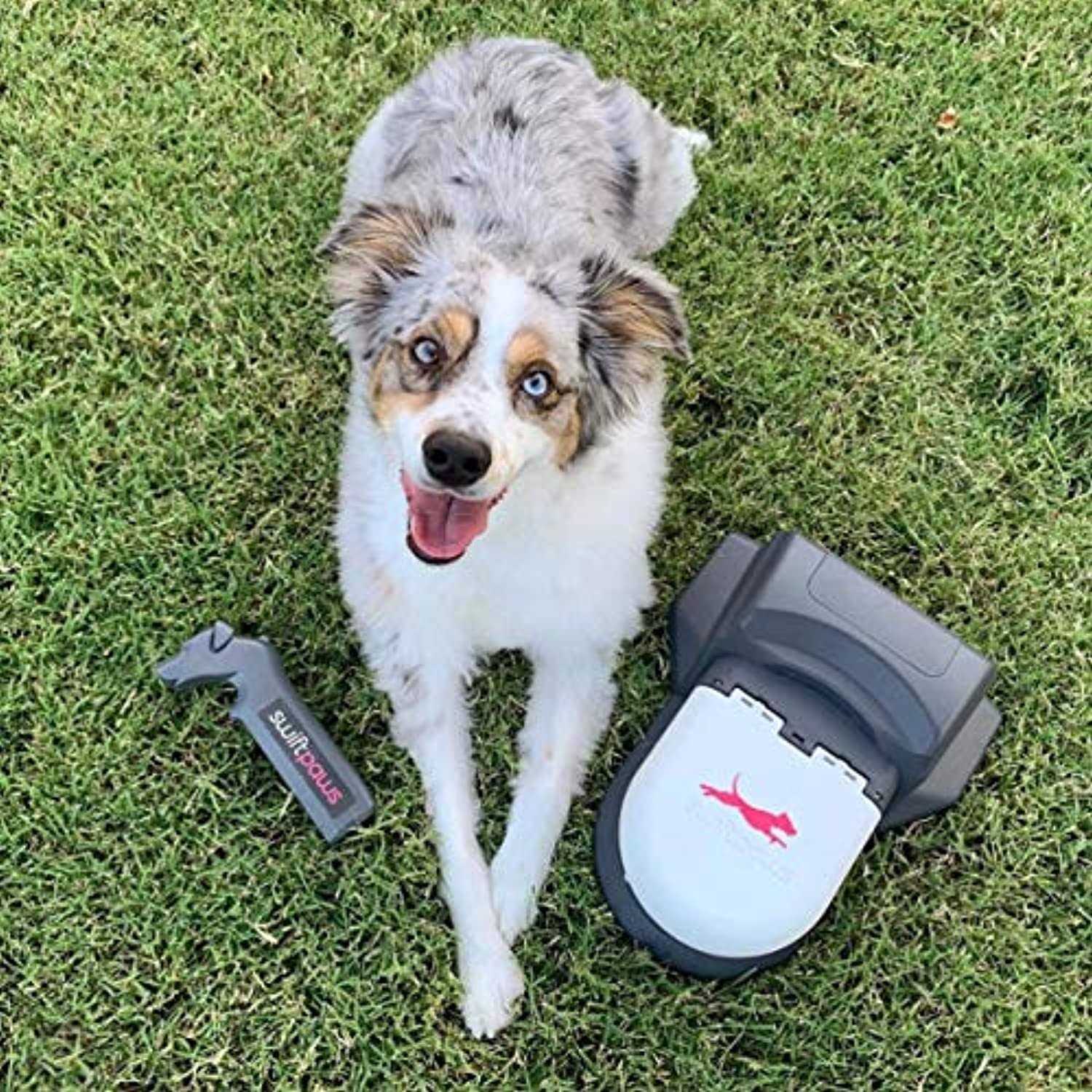 SwiftPaws Home Original Remote-Control Chase Toy for Dogs Flag Lure Course - Pet Supplies online store
