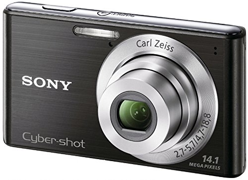Sony Cyber-Shot DSC-W530 14.1 MP Digital Still Camera with Carl Zeiss Vario-Tessar 4x Wide-Angle Optical Zoom Lens and 2.7-inch LCD (Silver) (OLD MODEL)