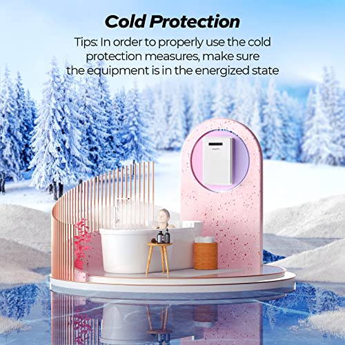 Fogatti Outdoor Tankless Water Heater