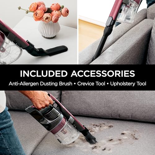 Shark | Pet Cordless Vacuum Cleaner | LED Headlights | Removable Handheld Vacuum for Pet Hair | Crevice Tool & Pet Multi-Tool Included | 40min Runtime | For Carpet & Hard Floors | Grey | IX141