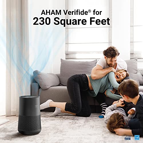 Winix Air Purifier with True HEPA Carbon Filter