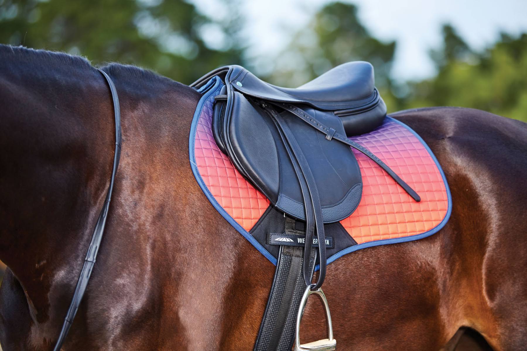 Weatherbeeta Prime Ombre Jump Saddle Pad, Stormy Sky / Pony