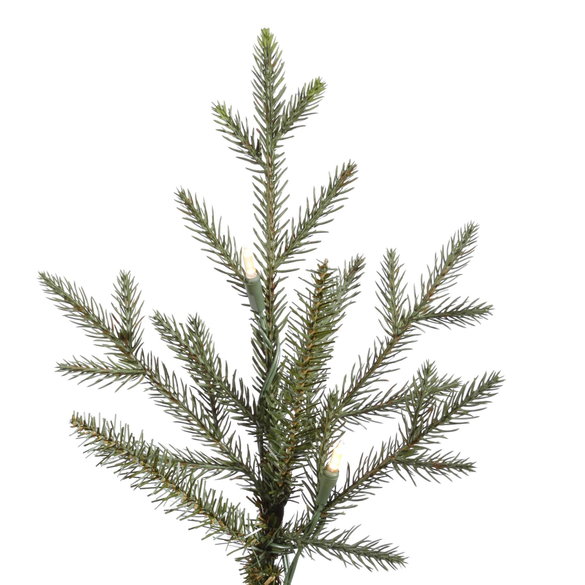 Vickerman 6.5& x 56x22 Itasca Frasier Tree 600Warm White LED Lights
