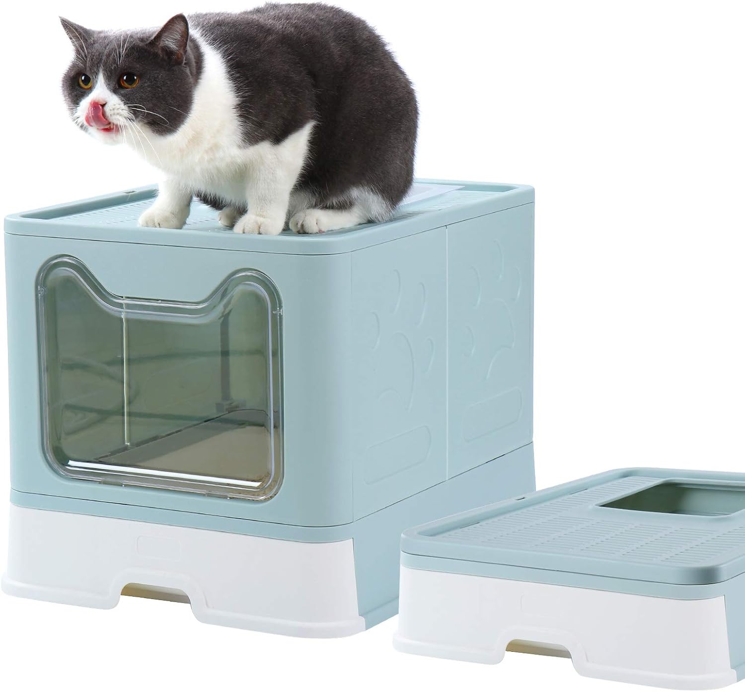 Dymoll Enclosed Litter Box Large, Foldable Top Entrance Cat Litter Box with Lid, Easy Clean No Smell Pet High Sided Litter Box Pack of 2