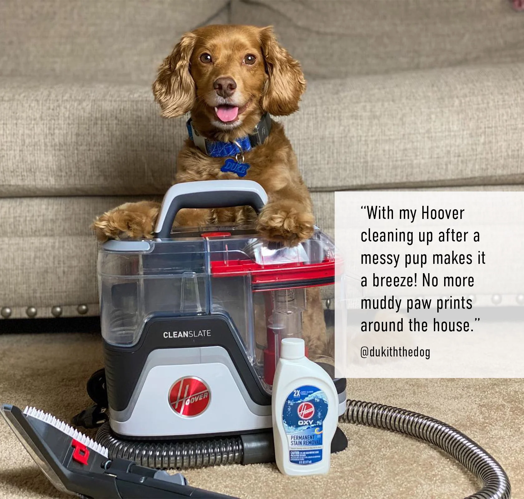Hoover CleanSlate Portable Carpet and Upholstery Pet Spot Cleaner, FH14010, 1 Count, New