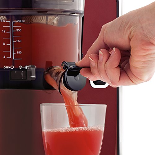 Omega Vertical Slow Masticating Juicer