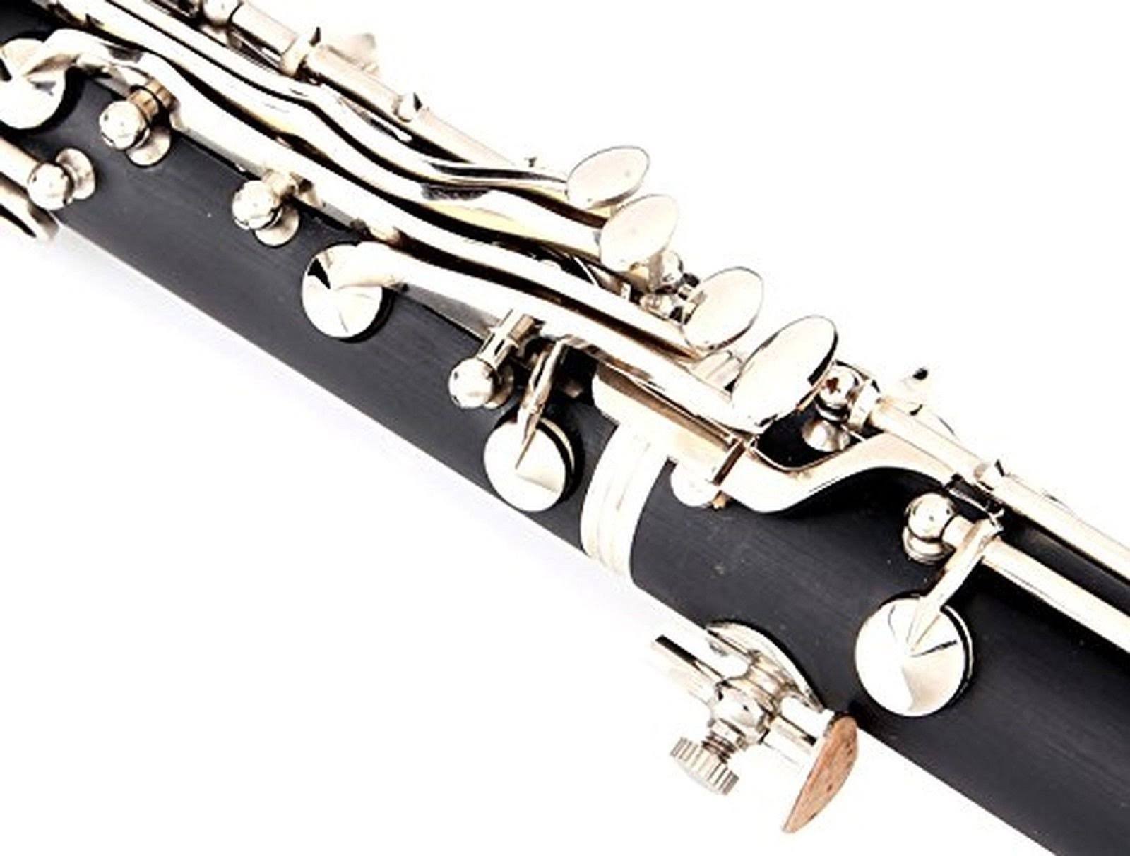 Glory B Flat Clarinet with Second Barrel, 11reeds,8 Pads cushions,case,carekit and More Black/Silver Keys
