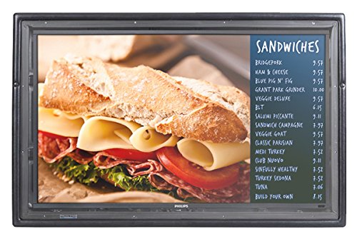 The Display Shield Outdoor TV Enclosure Cabinet, 36-43"