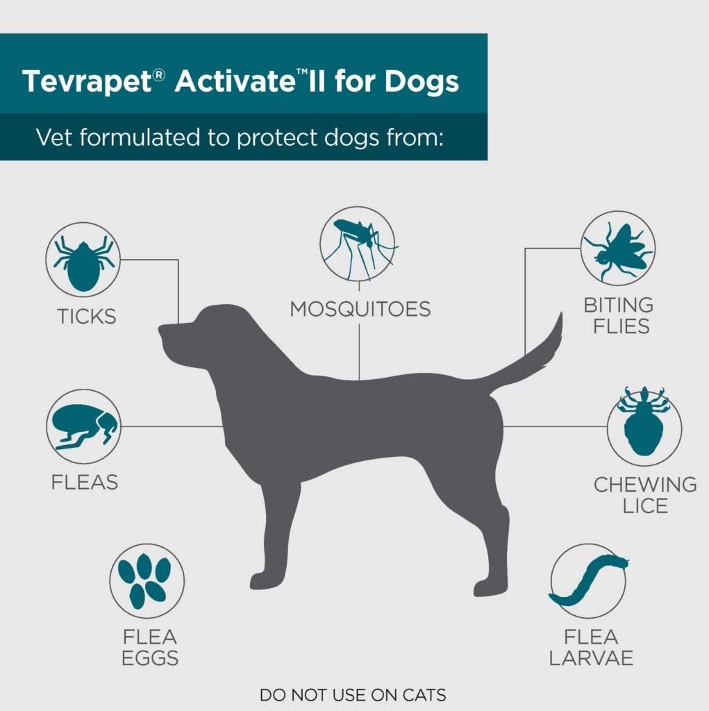 TevraPet Activate II Flea and Tick Prevention for Dogs | Medium 11-20 lbs | 16 Monthly Doses | Fast Acting Treatment | Repels Mosquitoes