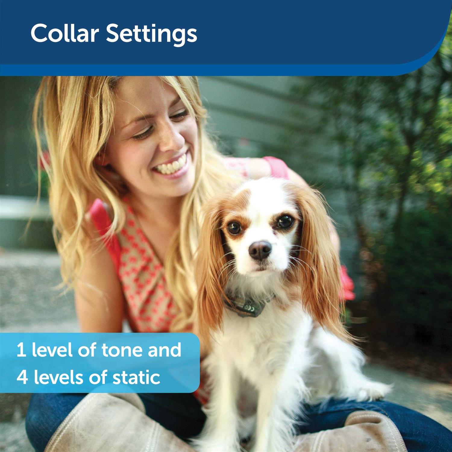 PetSafe Elite Little Dog In-Ground Fence Collar Receiver - Pet Supplies online store