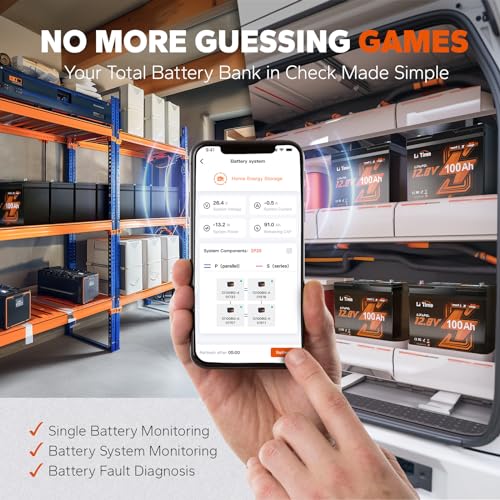 LiTime 12V 100Ah LiFePO4 Battery BCI Group 31 Lithium Battery Built-in 100A BMS, Up to 15000 Deep Cycles, Perfect for RV, Marine, Home Energy Storage