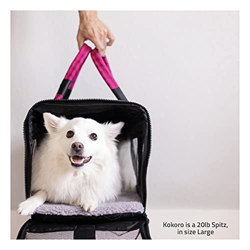 ROVERLUND Airline-Compliant Pet Carrier | Includes Leash