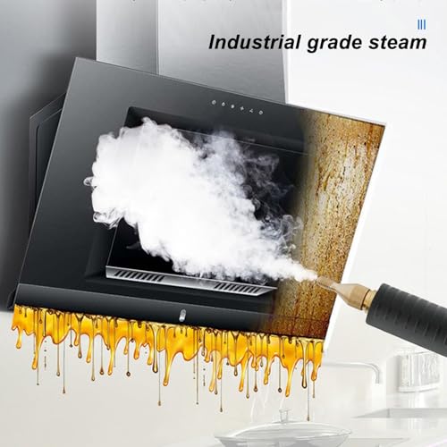 High Pressure Steam Cleaner, 4ft Water Inlet Hose Commercial Grade Standard ABS and Stainless Steel High Power Steam Cleaner Machine for Kitchens