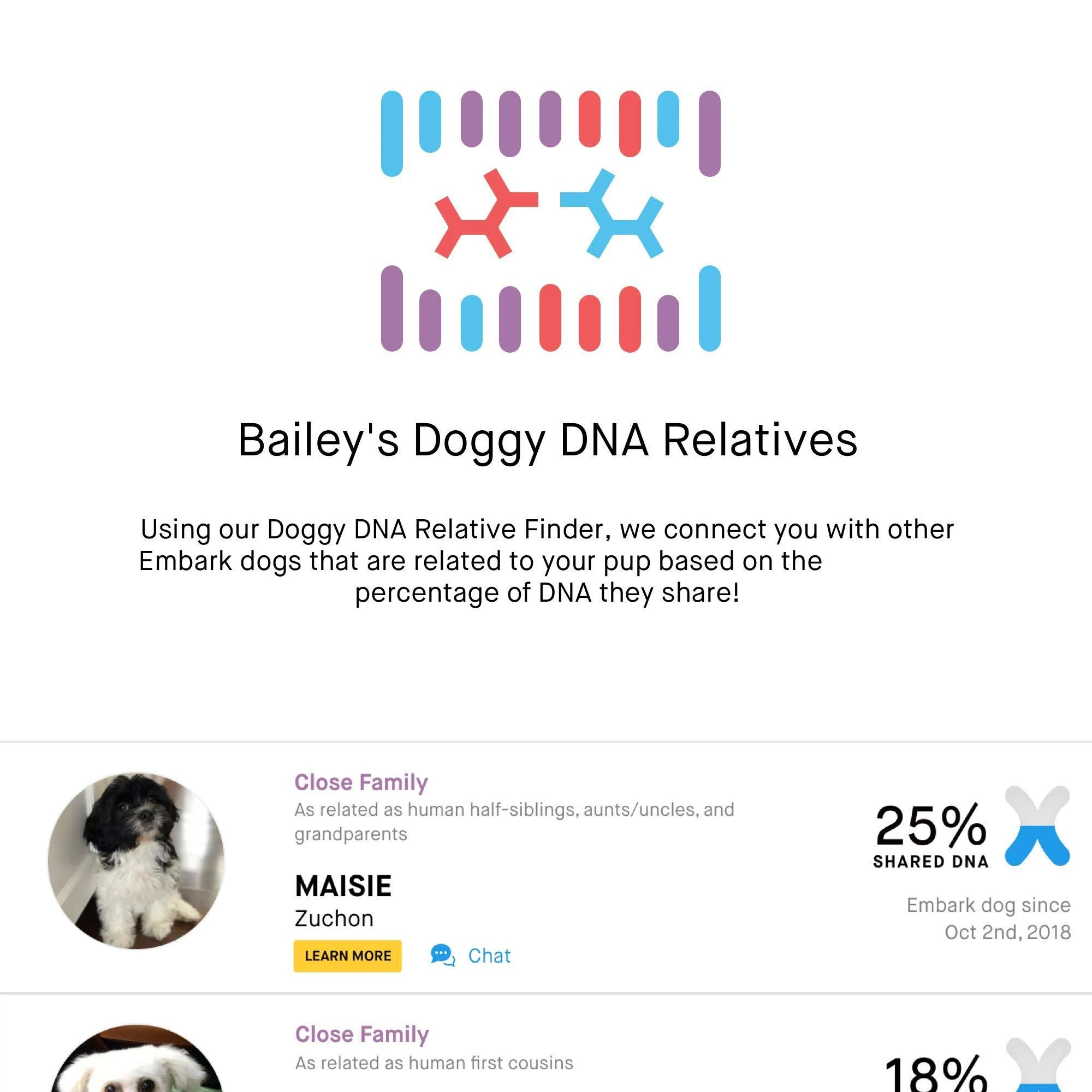 Embark | Dog DNA Test | Breed Identification | 160 Health Results | 200K Genetic Markers | Pack of 3