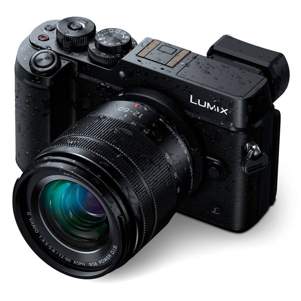 Panasonic Lumix G Vario 12-60mm f/3.5-5.6 ASPH. Power O.I.S. Lens