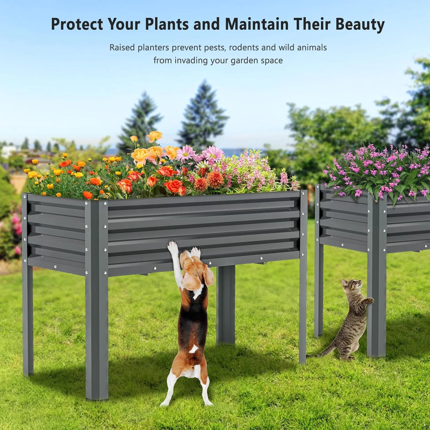 ABORON Galvanized Raised Garden Bed with Legs, 46×24×32in Large Metal Elevated Raised Planter Box with Glove for Backyard, Patio, Balcony - Curated Treasures Market