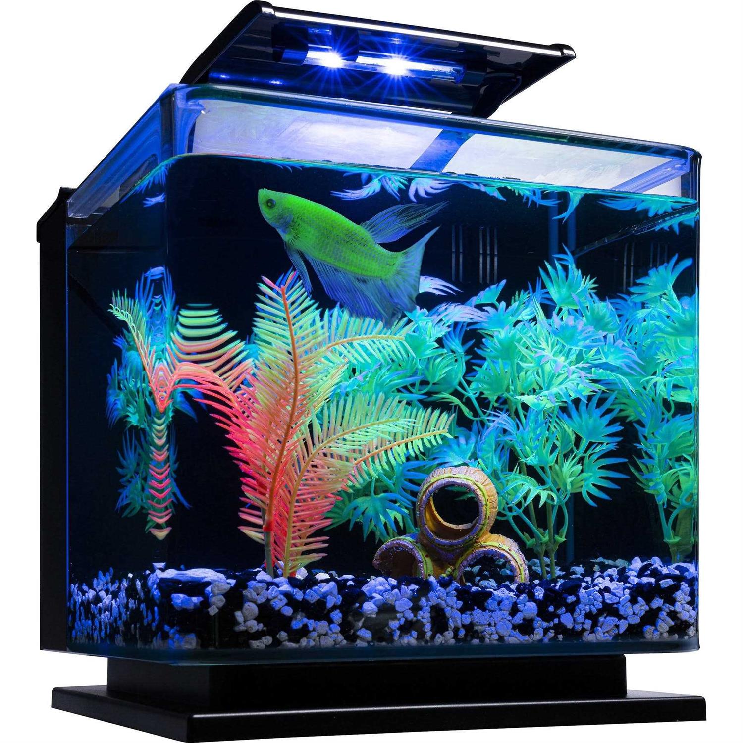 GloFish Betta Fish Aquarium Kit - Pet Supplies online store