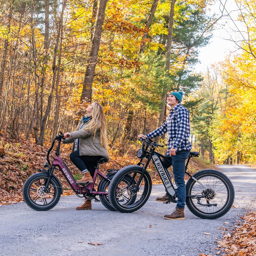 Heybike Ranger S Electric Bike for Adults, Foldable Ebike with 48V 14.4AH Removable Battery, 20" x 4.0 Fat Tire Step-thru Electric Bicycle, Electric Commuter Bikes for Womens Mens