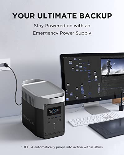 EF ECOFLOW Portable Power Station DELTA 1300 bundle