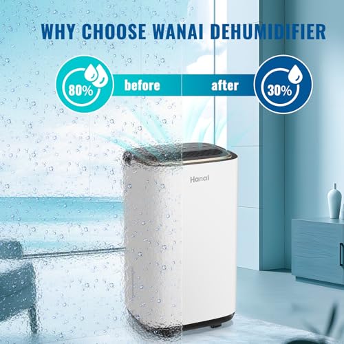 Dehumidifier for Home & Basement Small Dehumidifiers with Drain Hose for Medium to Large Room