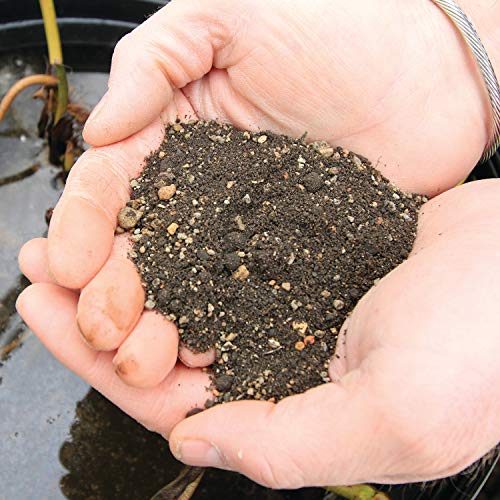 Aquascape AquaGarden Container Water Feature Kit – Indoor & Outdoor Mini Pond with Waterfall Fountain, Pump & Filtration for Home & Patio, Brown