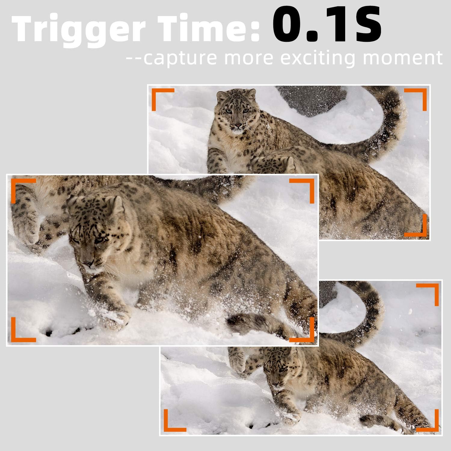 Professional Game & Deer Trail Camera with 100ft Night Vision 24MP Photo 1296P H.264 MP4 Video 0.1S Trigger Motion Activated Waterproof for Outdoor Wildlife Hunting & Home Security Surveillance