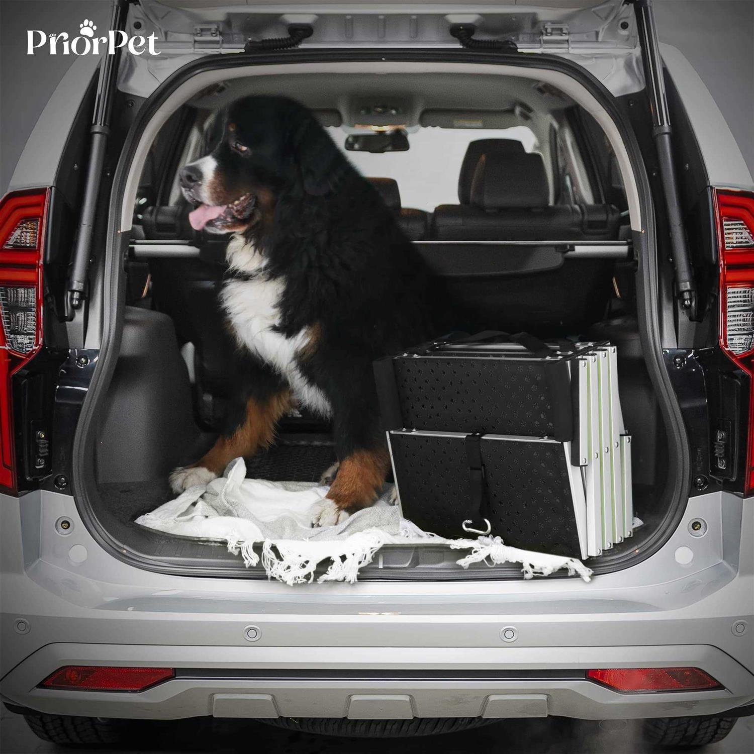 Dog Stairs for Large Dogs PRIORPET Glow in The Dark Marking Foldable Dog ramp for Car and Small SUV