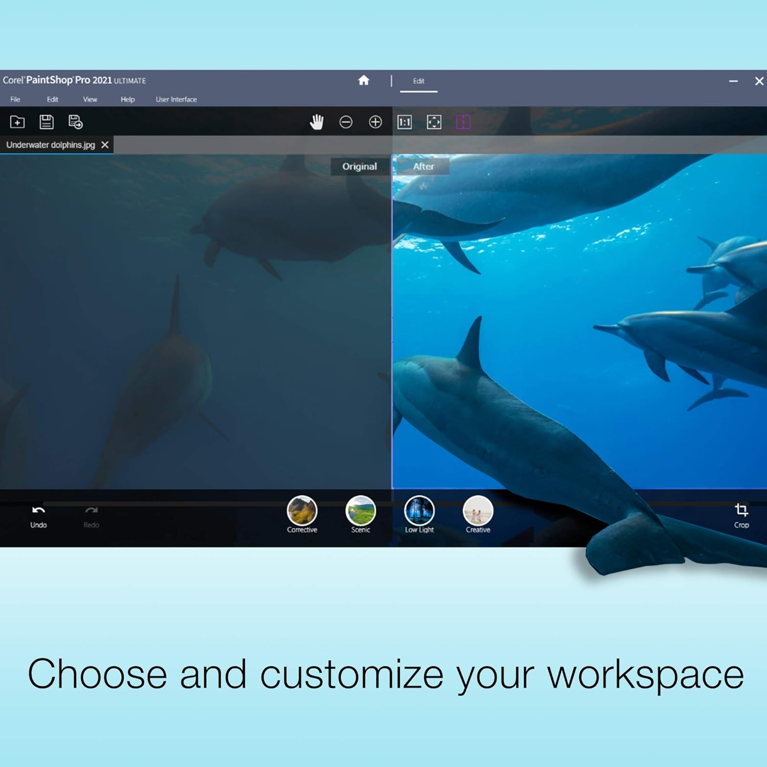 Corel Photo Video Ultimate Bundle 2021 | Powerful Photo-Editing and Movie-Making Software [PC Download][Old Version]