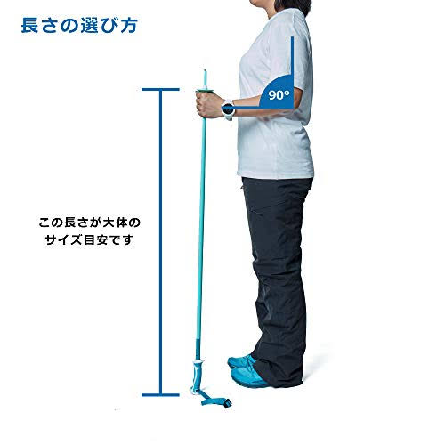 Salomon Element Carbon Ergo S3 Ski Poles