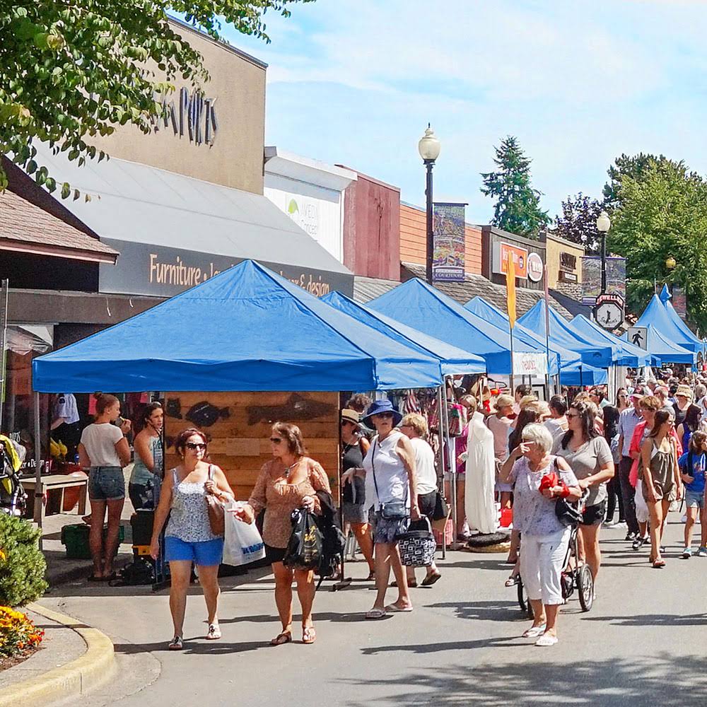 Instahibit 10x10 ft Pop Up Canopy Tent Commercial Instant Shelter Flea Market Canopy w/ Roller Bag