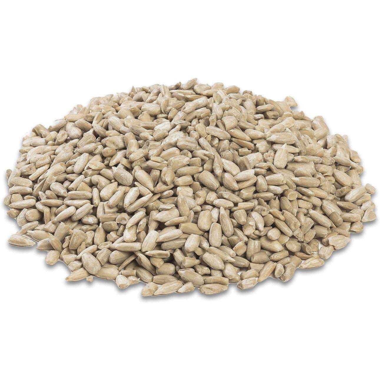 Royal Wing Sunflower Heart Bird Food - Pet Supplies online store