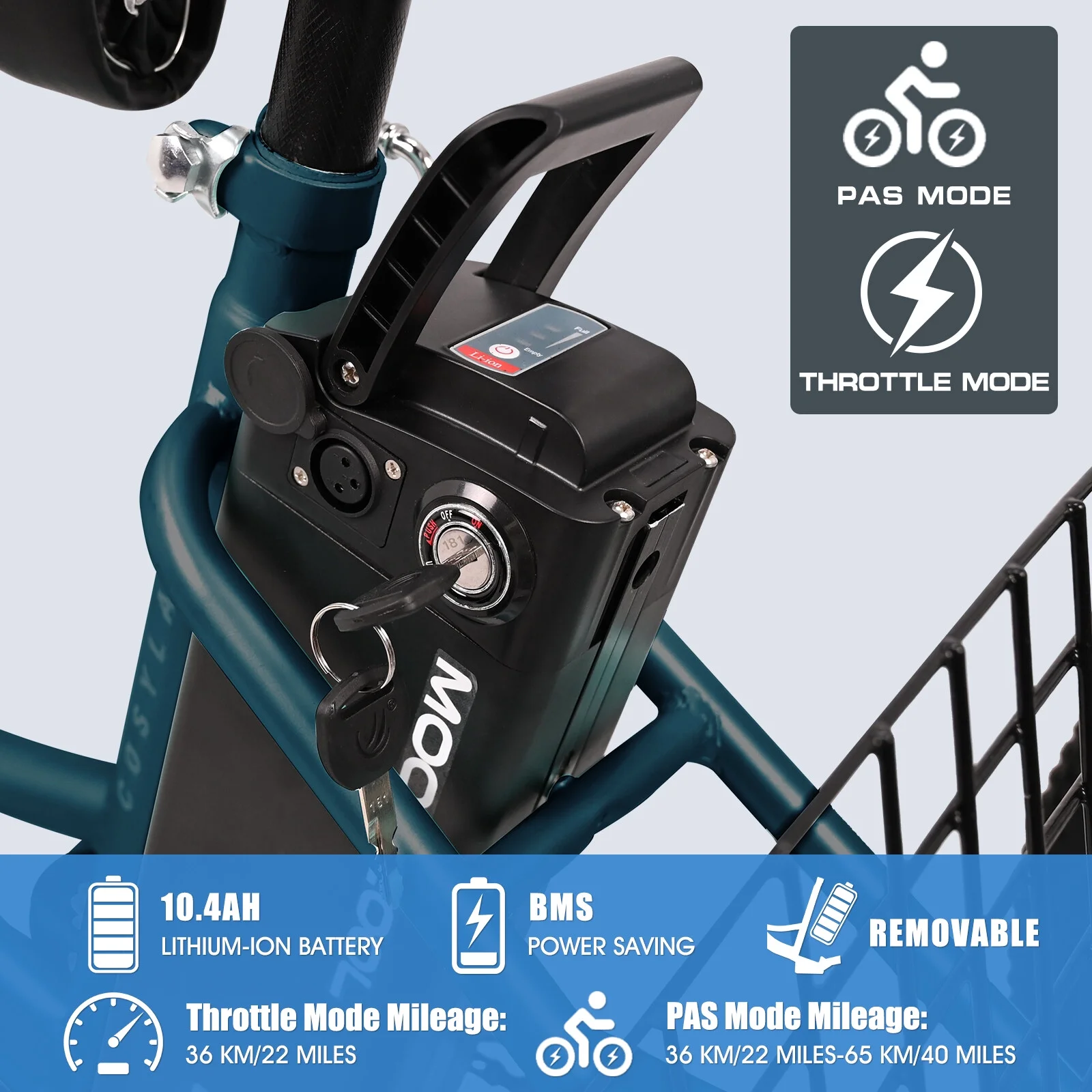 NAIZEA 24" 3 Wheel Electric Bike for Senior, 350w Adults Electric Trike, Three Wheel Ebike Bicycle with Removable 36V 10Ah Lithium Battery, Motorized Trike with Basket for Women Men