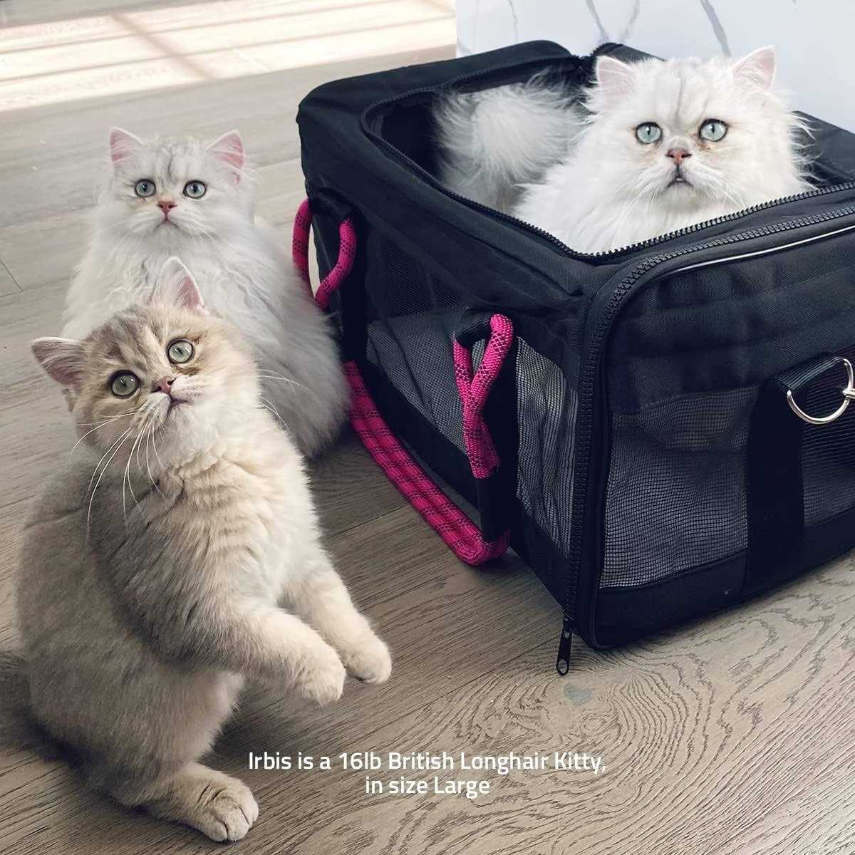 ROVERLUND Pet Car Seat &amp; Airline Compliant Carrier - Pet Supplies online store