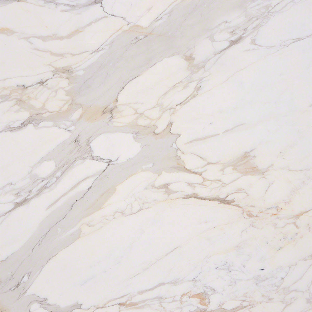 MS International Marble 12 x 12 Polished Calacatta Gold Polished Tile u0026 Stone