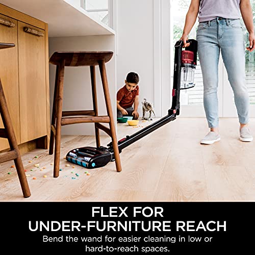 Shark | Pet Cordless Vacuum Cleaner | LED Headlights | Removable Handheld Vacuum for Pet Hair | Crevice Tool & Pet Multi-Tool Included | 40min Runtime | For Carpet & Hard Floors | Grey | IX141