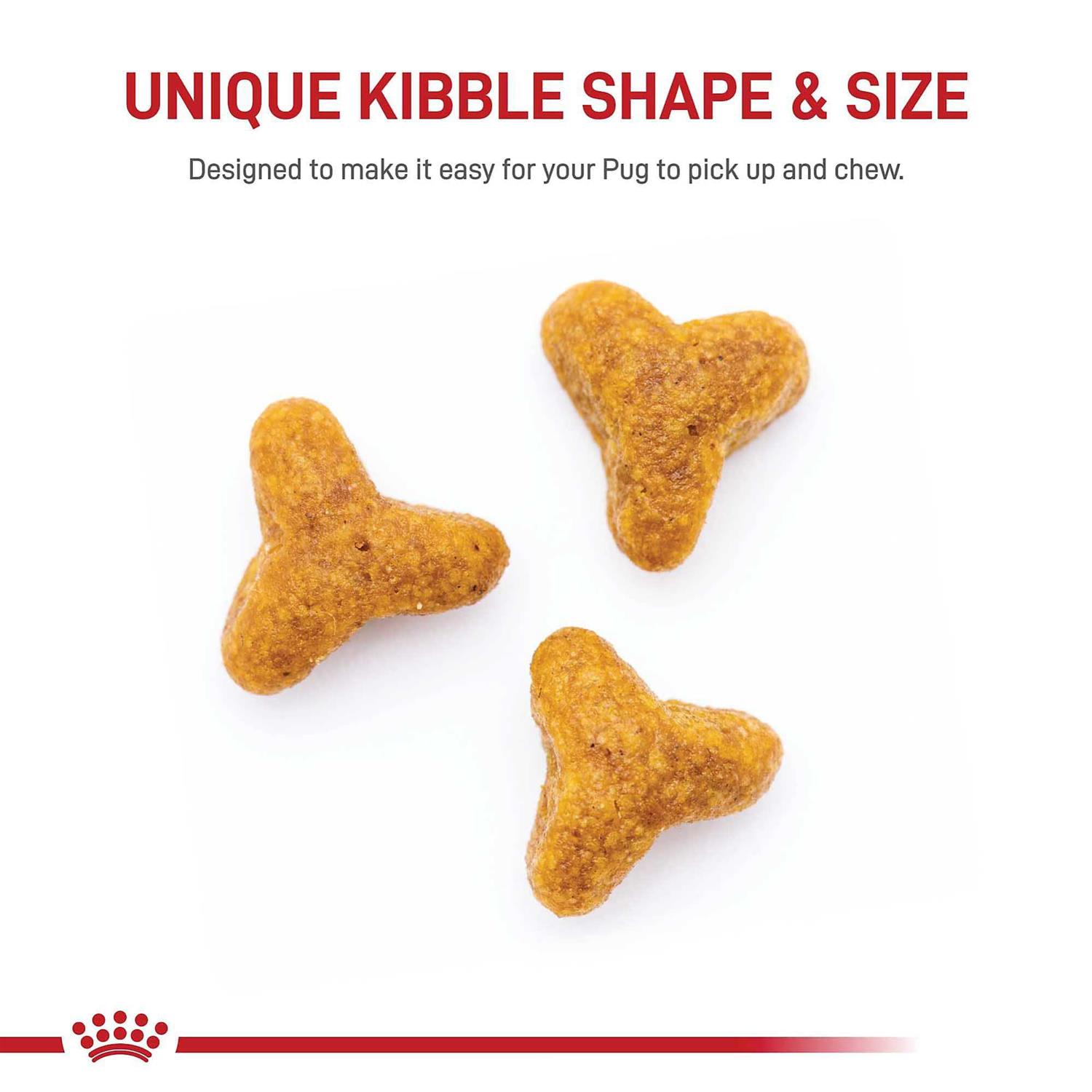 Royal Canin Breed Health Nutrition Pug Adult Dry Dog Food - Pet Supplies online store