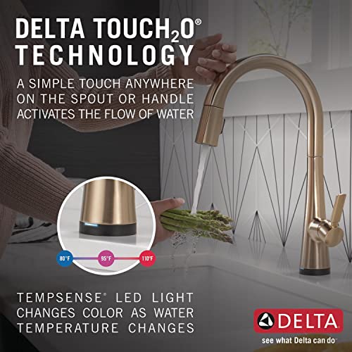 Delta Faucet Monrovia Kitchen Faucet