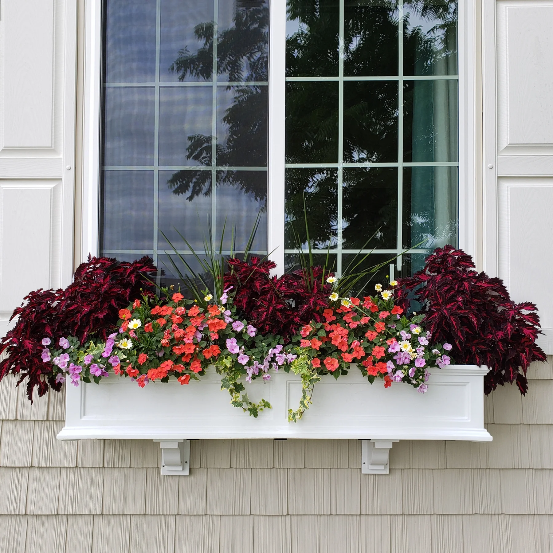 Mayne Fairfield 48" x 11" x 10.8" Rectangle White Self-Watering Polyethylene Window Box Planter