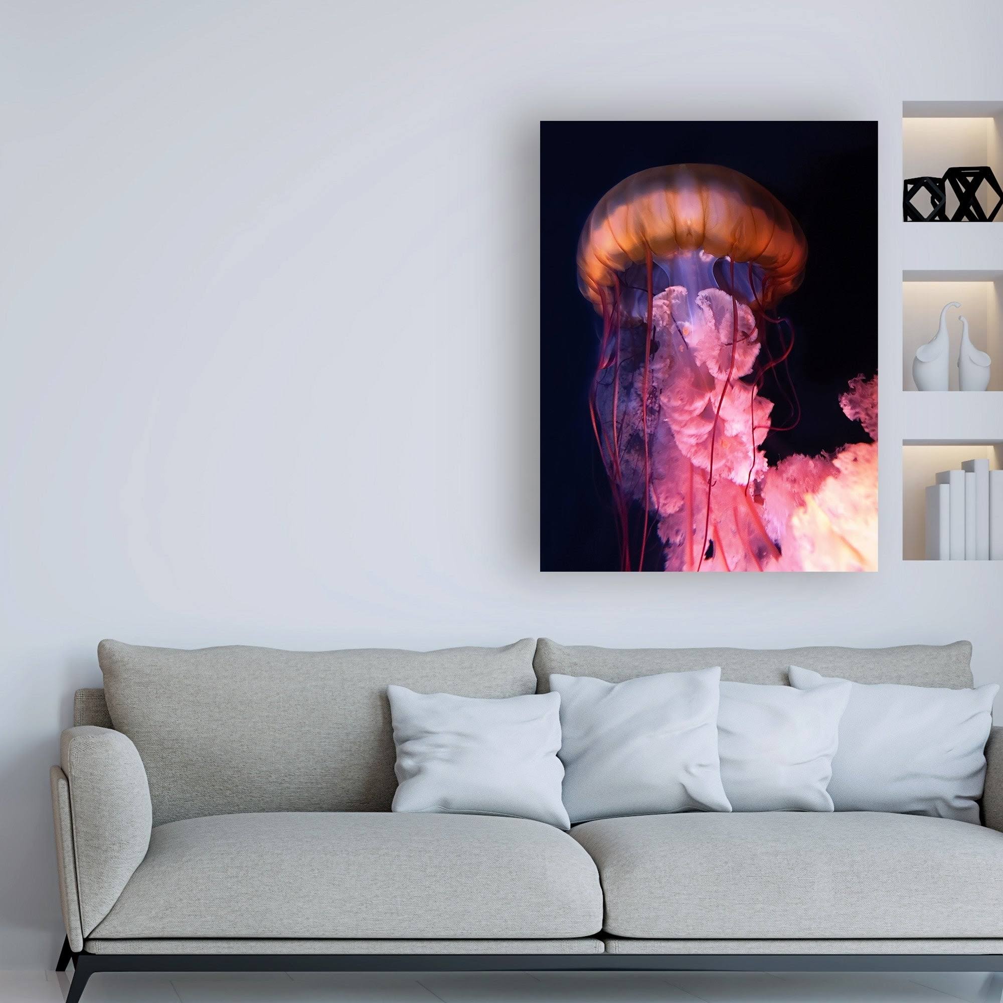 Trademark Art PhotoINC Studio 'Gelly' Canvas Art