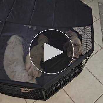VEVOR Dog Playpen, 8 Panels Foldable Metal Dog Exercise Pen with Top Cover and Bottom Pad