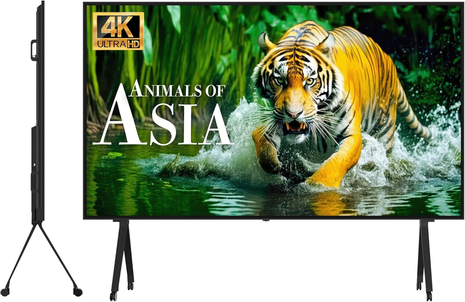100 Inch Portable LED Screen Smart TV, TS100TD, Wide Viewing,16:9, WiFi, HDMI, USB, for Business, Home Viewing
