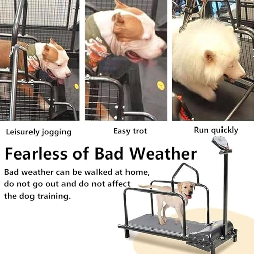 Dog Treadmill Large Dogs, Doggy Treadmill, Dog Treadmill Medium Dogs, Pet Running Machine Small & Medium Dog Exercise, Indoor Treadmill