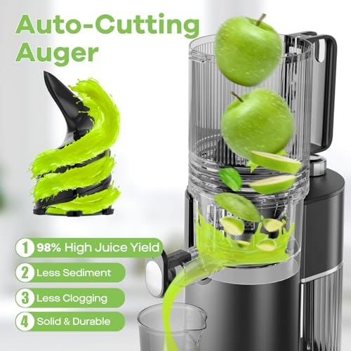 Cold Press Juicer, 5.8" Wide Feed Chute Juice Extractor Machine with 400W, High Juice Yield, Slow Masticating Juicer for Whole Vegetables & Fruits, Metallic Silver