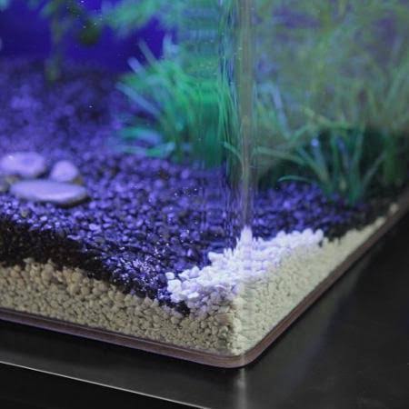 UniQuarium Rectangular Aquarium - 20R-SAPPHIRE BLUE-AAT004-1