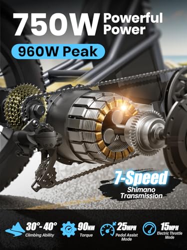 Electric Trike for Adult with 750W Motor, 48V 18AH Cells Battery, Pickup Class 500 LB Load Electric Tricycle with 20" Fat Tire and Large Basket, 60 Miles Range, for City and Mountain Road
