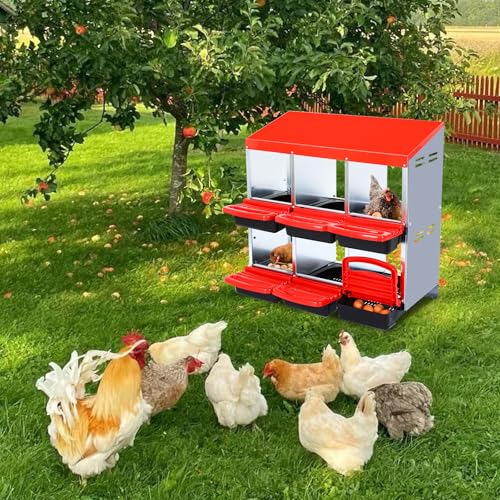 Chicken Nesting Box, 10 Hole 2 Layer Hen Nest Box with Legs, Roll Away Eggs Laying Boxes,Cleanable Pull Out Hen Roosting Boxes